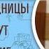 Мытари и блудницы вперед вас идут в Царство Божие Мф 21 31 Протоиерей Димитрий Сизоненко Библия