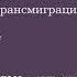 Египетская Магия статья вошедшая в 3 й том Тайной Доктрины Е П БЛАВАТСКОЙ Аудиокнига