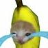 Banana Cat Crying But Famous Phone Ringtones