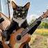 This Countryside Concert Is Brought To You By A Tractor And A Talented Cat Cat Guitar Animals