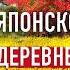 Осенняя рутина в японской деревне Как мы живем вдали от Токио