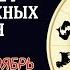 ОВЕН НАЧАЛО ВАЖНЫХ ПЕРЕМЕН В НОЯБРЕ 2024 ГОДА ГОРОСКОП НА НОЯБРЬ АСТРОЛОГИЯ С КАТРИН Ф