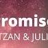 Raz Nitzan Julia Ross Where Promises Fade