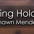 Shawn Mendes There S Nothing Holdin Me Back 8D AUDIO