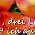 Drei Lilien With Lyrics