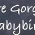 You Re Gorgeous Babybird Lyrics