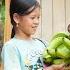 Mr Vuong Is Hard Working Nhi And The Two Girls Play Happily Harvesting Watermelons To Sell