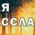 Медитация для успокоения нервов Прогулка по лесу Очищение от негатива 10 минут