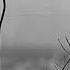 Recondite Placid Full Album