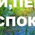 НЕЖНОЕ ЖУРЧАНИЕ РУЧЕЙКА И ПЕНИЕ ПТИЦ УСПОКОЯТ НЕРВЫ СНИМУТ НАПРЯЖЕНИЕ РУЧЕЁК УНЕСЁТ ВСЕ ТРЕВОГИ