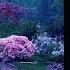 Rain On Japanese Zen Garden At Night 10 HrsㅣFor Sleep Study Relaxation Calmbience Rain Sounds