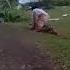 PNG Lae Raun Wara Drunkard Women Fight