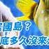 鳥松 下 澄清湖裡面居然藏有海底生物 平凡五金行