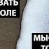 Очень сильный отрывок Посвящается всем ищущим просветление Пробуждение сознания Рамеш Балсекар