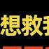 洗米華涉8000億案情细节曝光 他犯的事大到颠覆你的想象 梁安琪敗局已定 崩牙驹為什麼不救他 何超瓊 洗米華 梁安琪 四太 閒娛記 澳门太阳城案