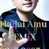 The Best Hailai Amu Remix 2022 2023