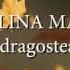 Madalina Manole Vino Dragostea Mea Versuri Lyrics Karaoke