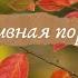 Стихотворение Поспевает брусника Автор Константин Бальмонт