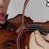 10 Reasons Why Violin Is The Hardest Instrument