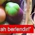 SANGGUP MAKAN KUIH BASI SAYANG DUIT PUNYA PASAL Ep 11 PEREMPUAN TRAVEL SOLO 68 Hidup Shazz