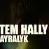 RUSTEM HALLYYEW AYRALYK