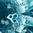 China HMPV Outbreak New Pandemic Threat HMPV Outbreak Sparks Global Concerns HMPV Virus N18G