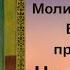 Молитва Богородице пред иконою ее Целительница молятся при болезнях душевных и телесных