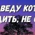 АСАФАТОV Заведу кота Lyrics А я би тобі я би для тебе Хоть зорі з неба