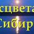 Расцветай Сибирь Мурадели Иодковский авт ролика Юрий Терещенко