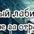 Елена Марди Алекс Фортт Зеркальный лабиринт В погоне за отражением