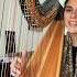 Isntshelovely Steviewonder Harp Harpist Harpcover Harpistsinger