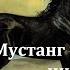 Мустанг иноходец Эрнест Сетон Томпсон Радиоспектакль 1984год