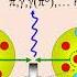 В И Комаров Структура нуклонов и NN взаимодействия V Komarov Structure Of Nucleons