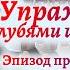 Упражнение с голубями и полотнами на праздничном мероприятии Россия Родина моя