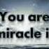 Miracle Shinedown Lyrics