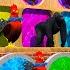 5 Giant Duck Cartoon Cow Elephant Giraffe Tiger Lion Paint Wild Animals Crossing Fountain Animation