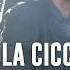 Nicola Ciccone Pleure