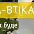 Гортензія ампельна Наречена втікачка як зимувала і як буде зимувати