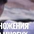 Что значит по причине умножения беззакония во многих охладеет любовь Борис Грисенко