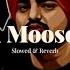 Sidhu Moose Wala Special Slowed Reverb PhantomMusic0076 Sidhumoosewala