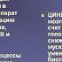 Фесцетам капсулы состав Пирацетам Циннаризин Аналоги