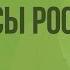 Природные условия и ресурсы России Видеоурок по географии 8 класс