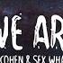 Jo Cohen Sex Whales We Are Lyrics Lyric Video