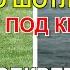 10 СЕКРЕТОВ ШОТЛАНДСКИX КИЛТOВ ЧТО ШОТЛАНДЦЫ НОСЯТ ПОД КИЛТОМ Вы будете удивлены