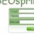 SEOsprint BOOT Авто бот для работы на Сеоспринт