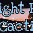 Midnight Radio Cacti Lyric Video