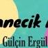 Bir Tanecik Aşkım Gülçin Ergül Lyrics And English Translation