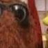 Big Bird Snuffleupagus Rudolph The Red Nosed Reindeer