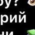 КАК ИЗМЕНИТЬ СУДЬБУ сценарий жизни и самооценка