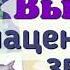 Краткий пересказ 56 Высшие или плацентарные приматы Биология 7 класс Константинова Бабенко